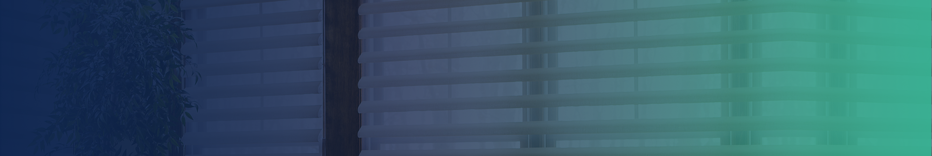 Case Study HUNTER DOUGLAS2